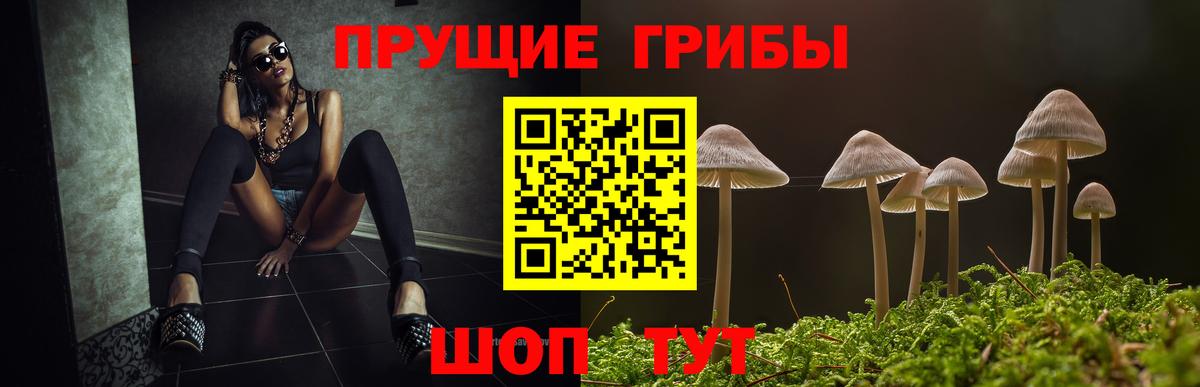 Галлюциногенные грибы Cubensis  Вход с VPN  Ирбит  Галлюциногенные грибы мухоморы 